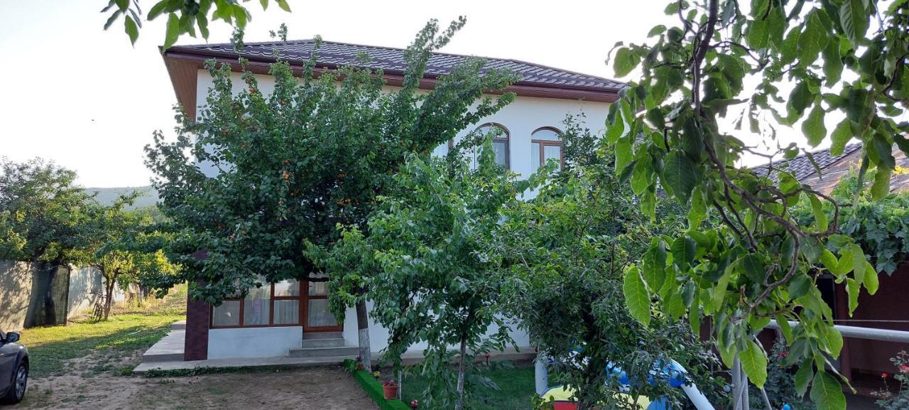 Agropensiunea Olteanu Niculitel Экстерьер фото